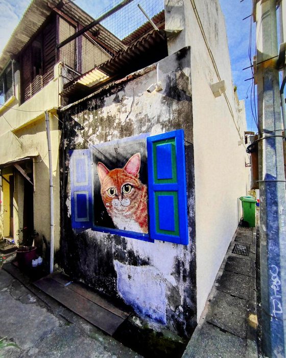 A photograph made with Chrome