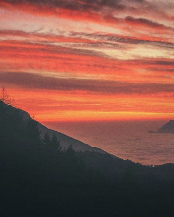A photograph made with Gold Hour