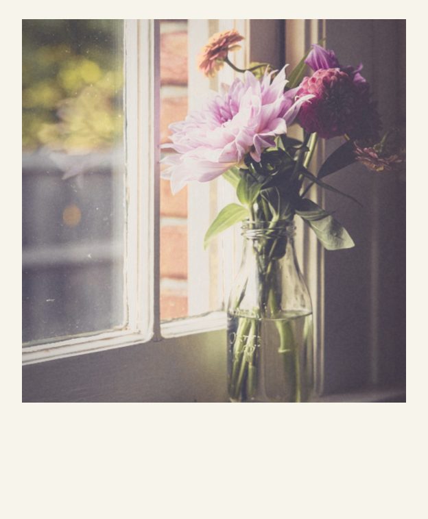 A photograph made with Instant Square